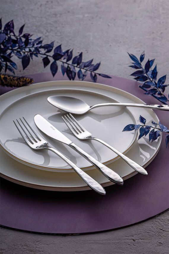 Akasya 24 Parça 6 Kişilik Kutulu Çatal Kaşık Bıçak Takımı - 2