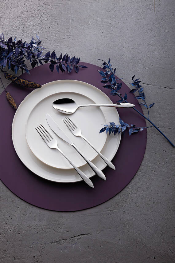 Akasya 24 Parça 6 Kişilik Kutulu Çatal Kaşık Bıçak Takımı - 3